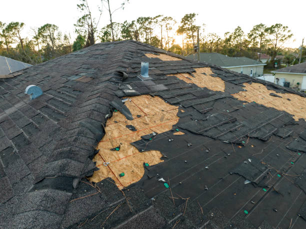 Best Roof Insulation Installation  in Oak Brook, IL